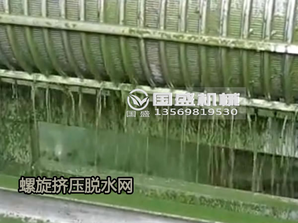 白菜脱水用下载好色先生螺旋压榨机