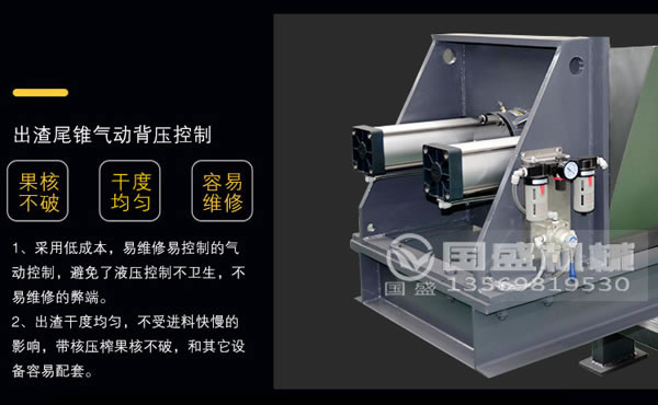 工业餐厨好色先生污污压榨机