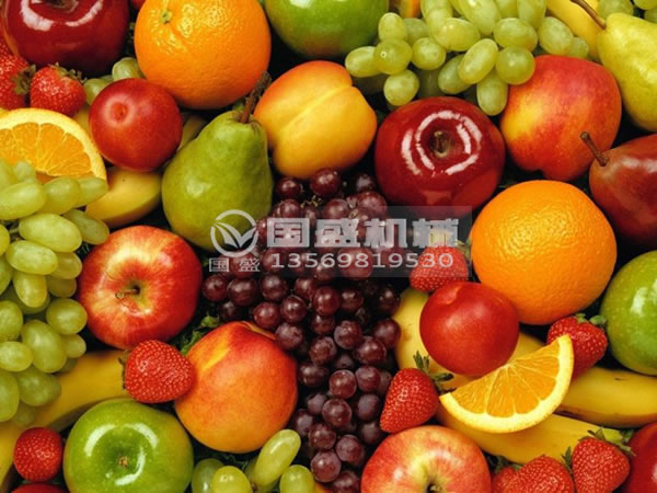 餐饮果蔬好色先生污污处理设备